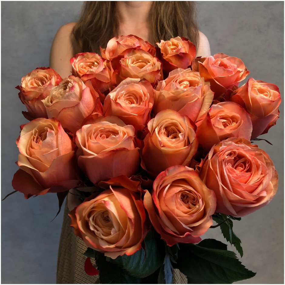 Оранжевые розы Эквадор
