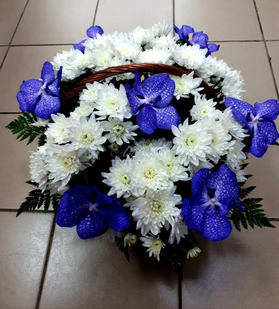 Корзина с цветами хризантемы с голубым
