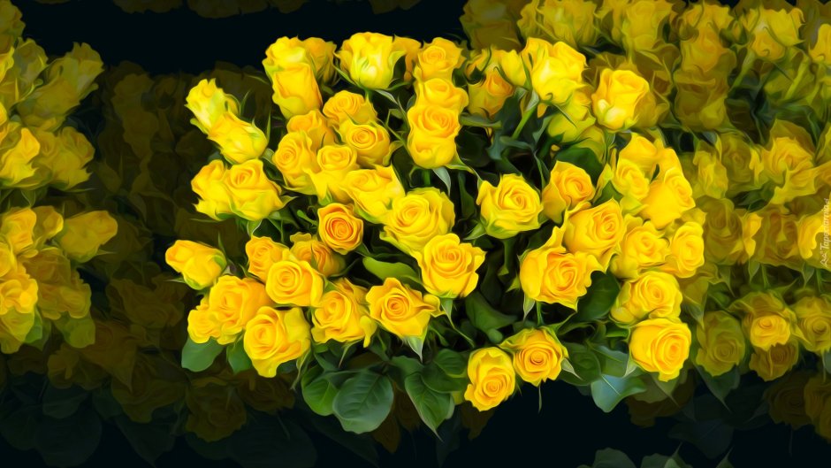 Мелкие желтые розы