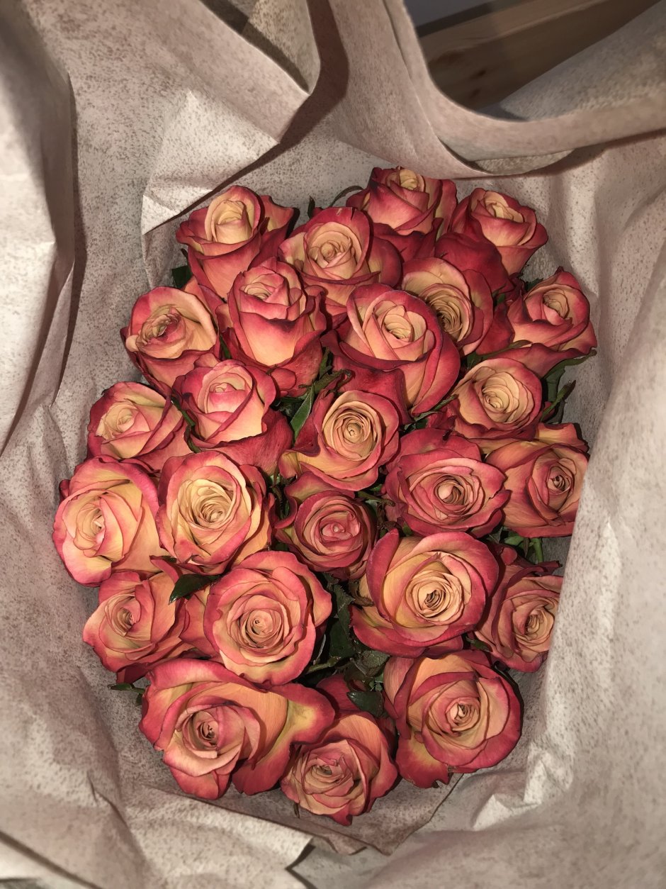 Эстетичный букет роз