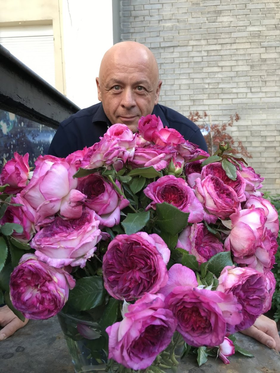 Розы Rosier Thierry Marx