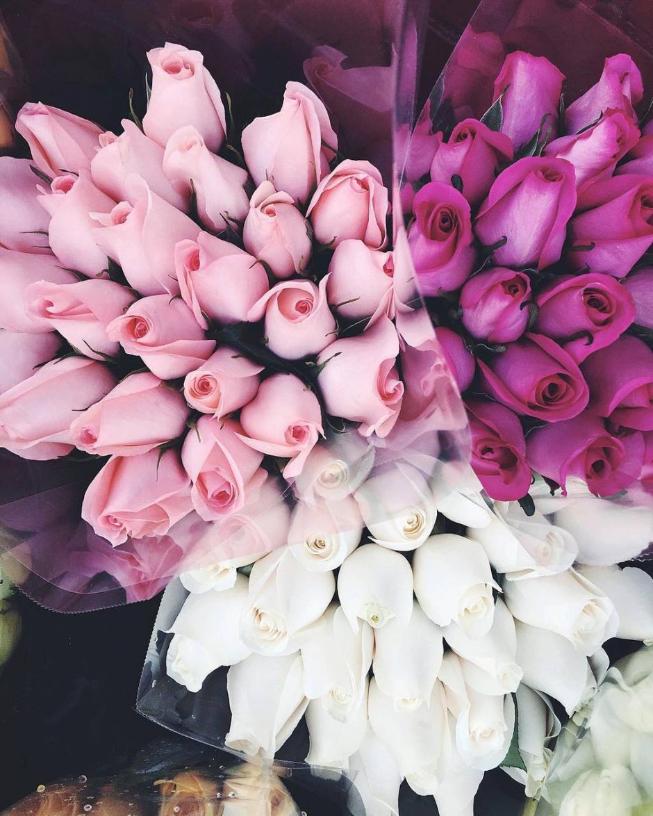 Розовые тюльпаны Эстетика