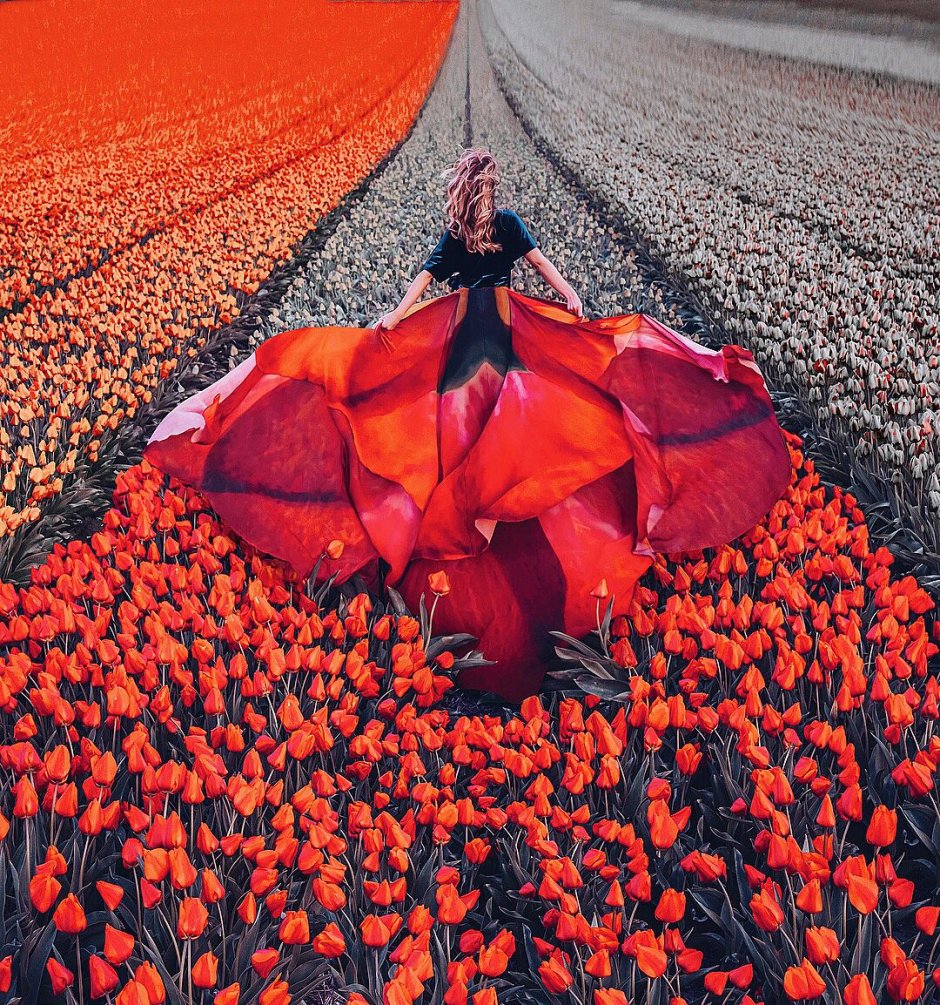 Тюльпановое поле и девушка