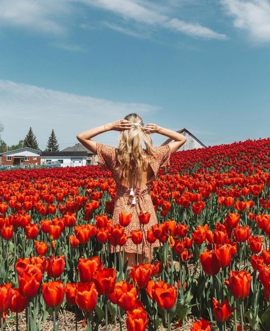 Девушка в поле тюльпанов