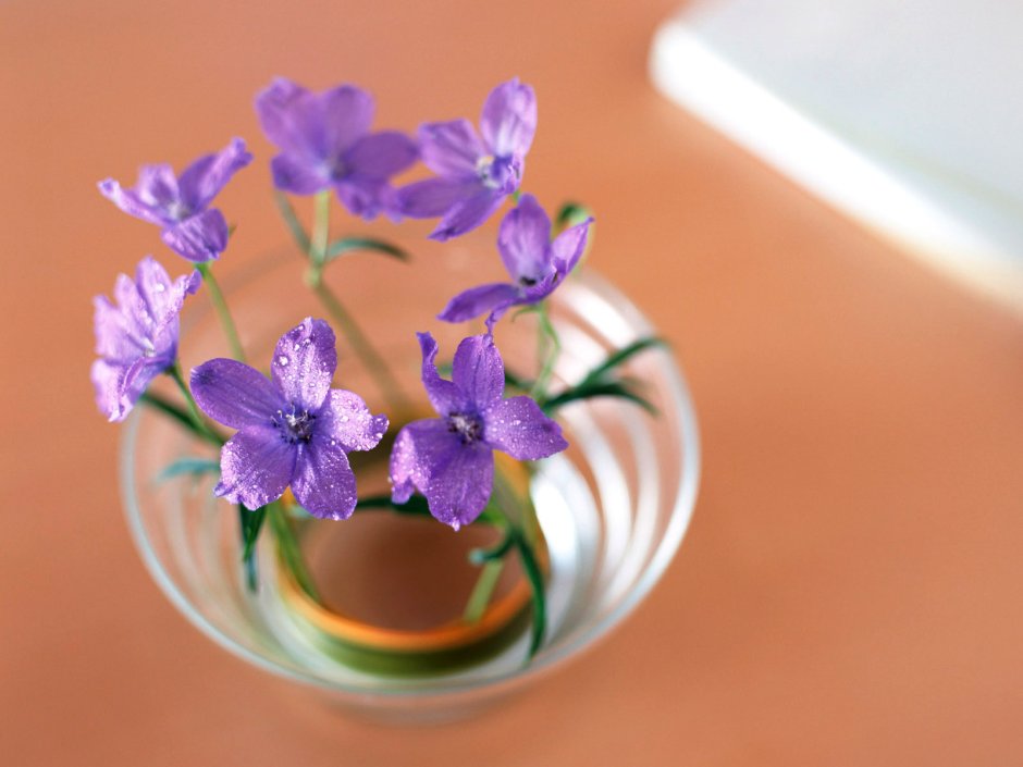 Маленькие цветочки в вазочках