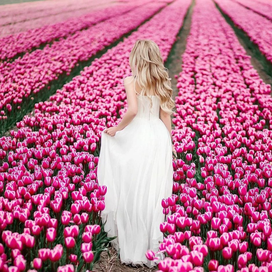 Девушка в розовом платье поле тюльпанов