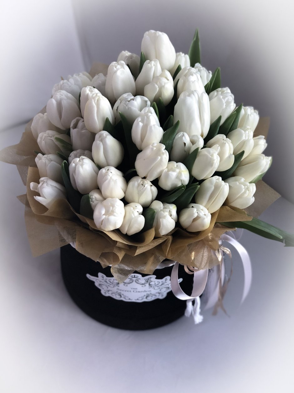 Белые тюльпаны букет