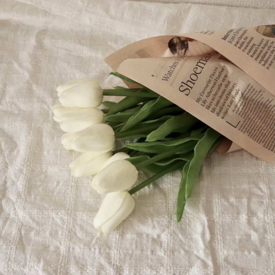 Эстетичные белые тюльпаны