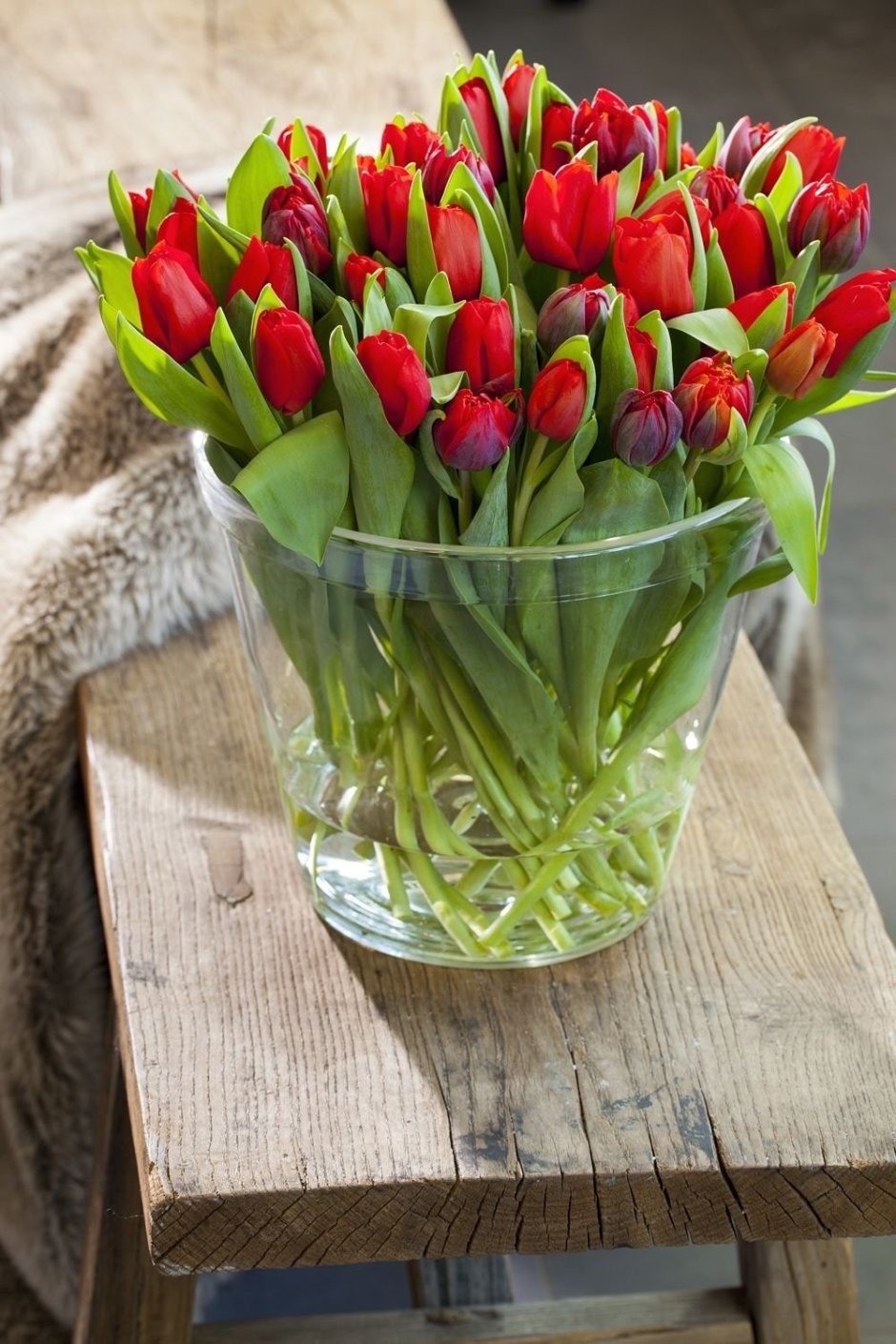 Роскошные тюльпаны