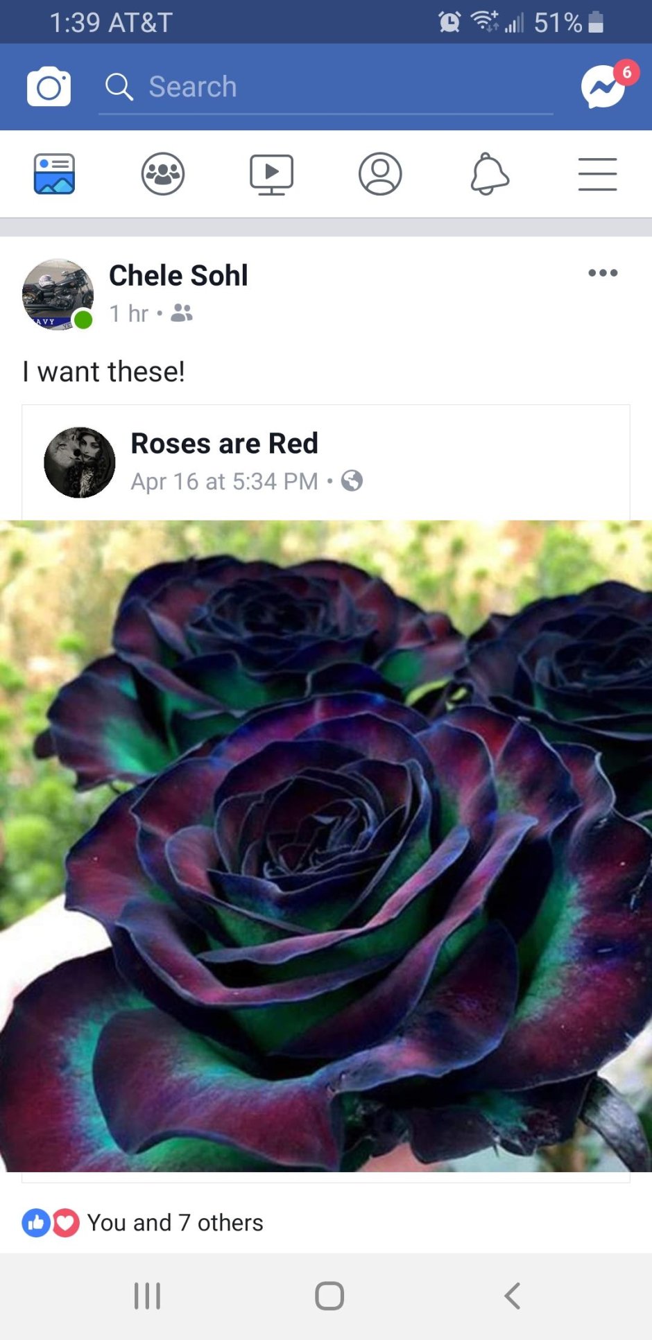 Радужные и черные розы