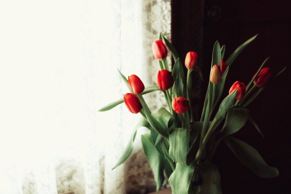 Тюльпаны на фоне окна