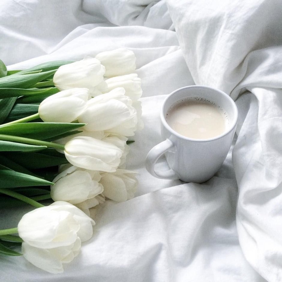 Утро белые цветы