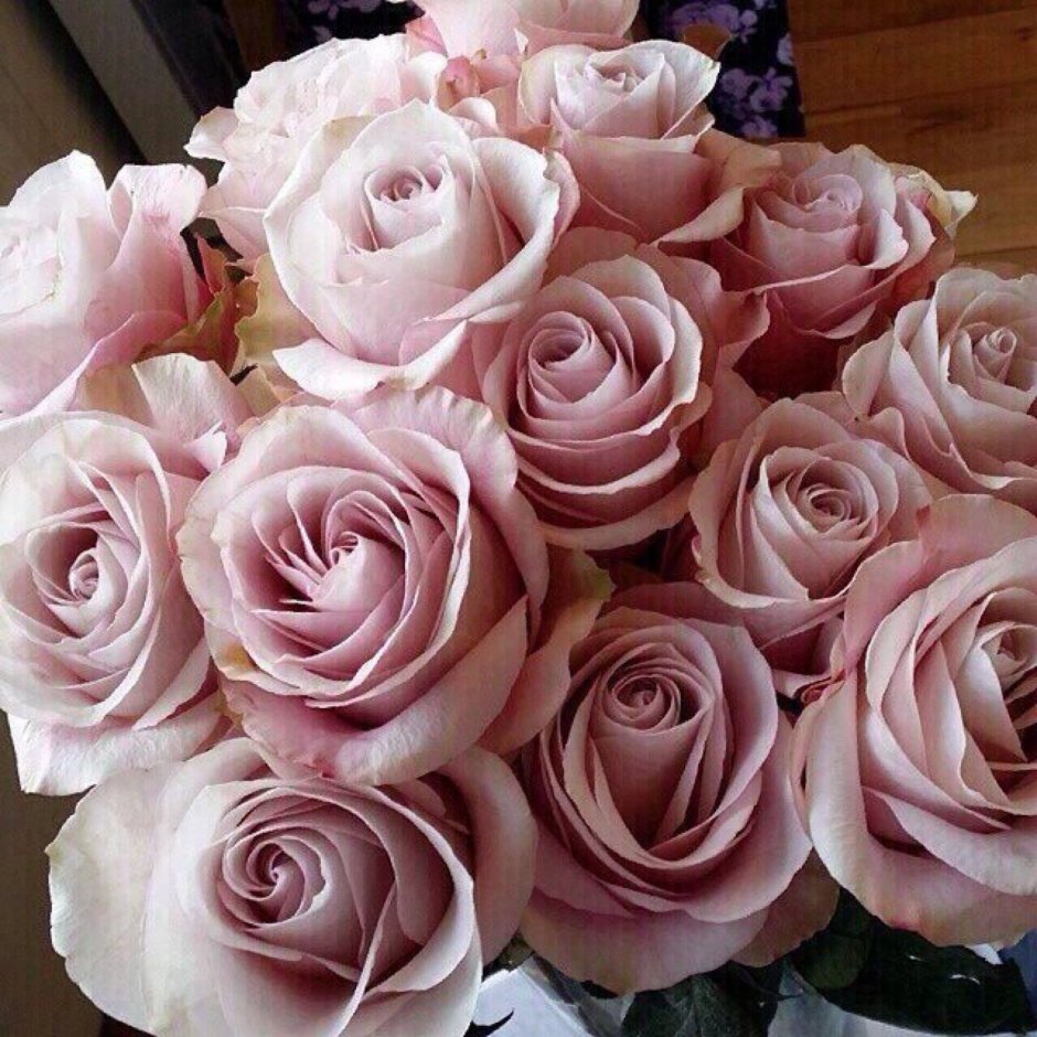 Розы грязно розового цвета