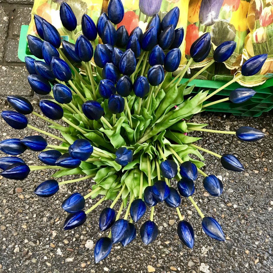Голубые тюльпаны букет