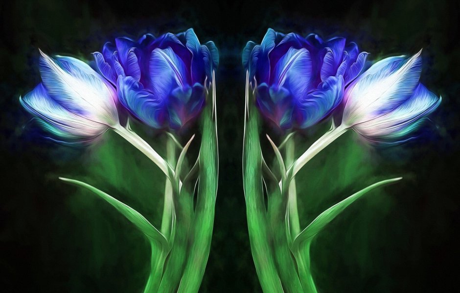 Фиолетовые тюльпаны арт