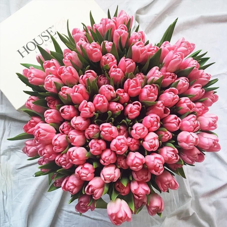 Красивый охапка розовых тюльпанов