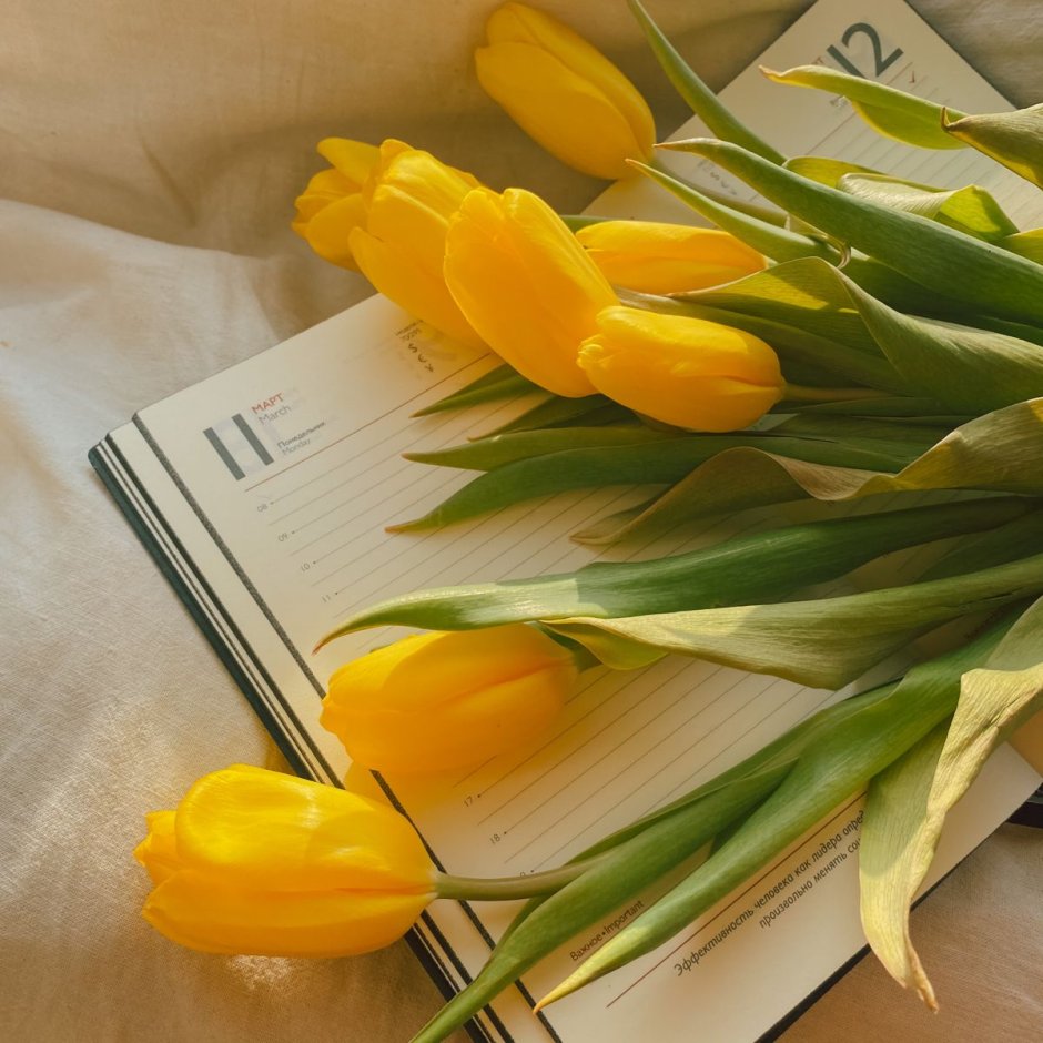 Желтые тюльпаны к расставанию