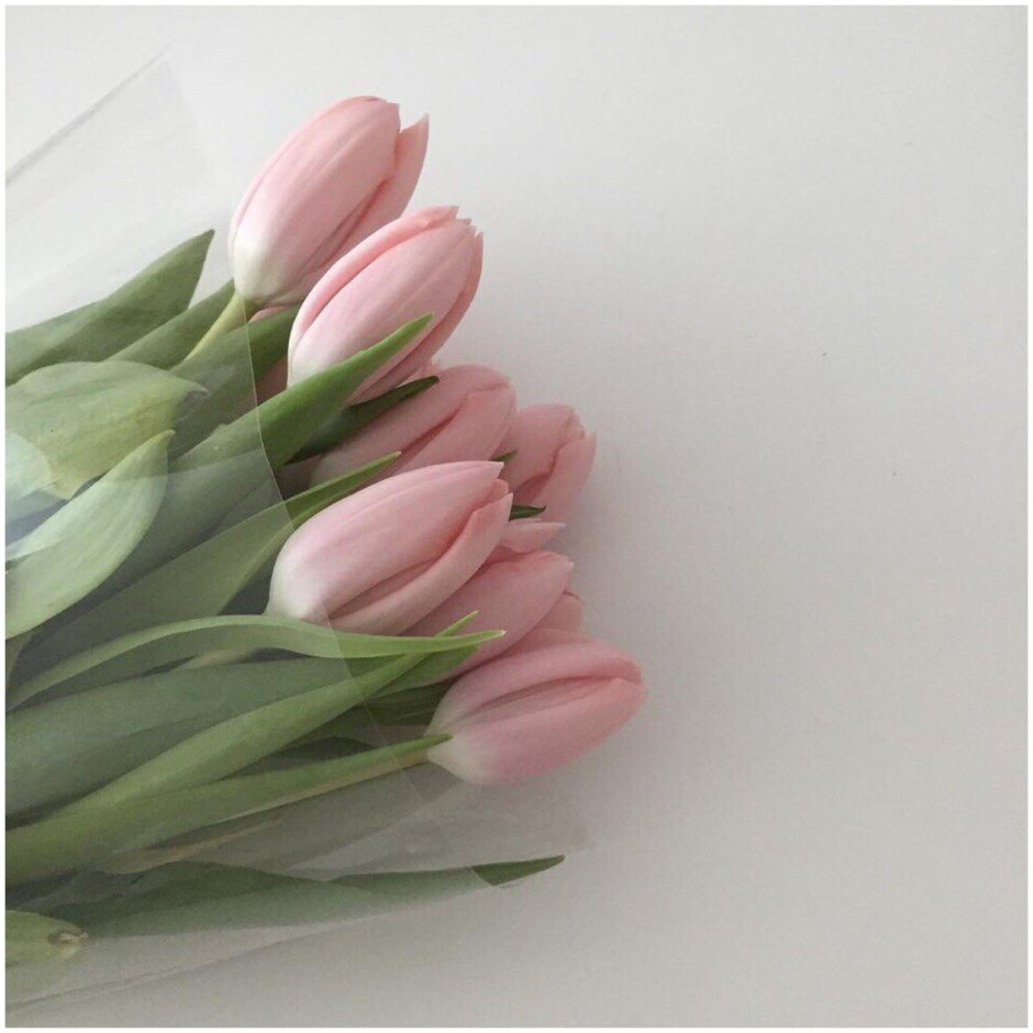 Эстетичные букеты тюльпанов