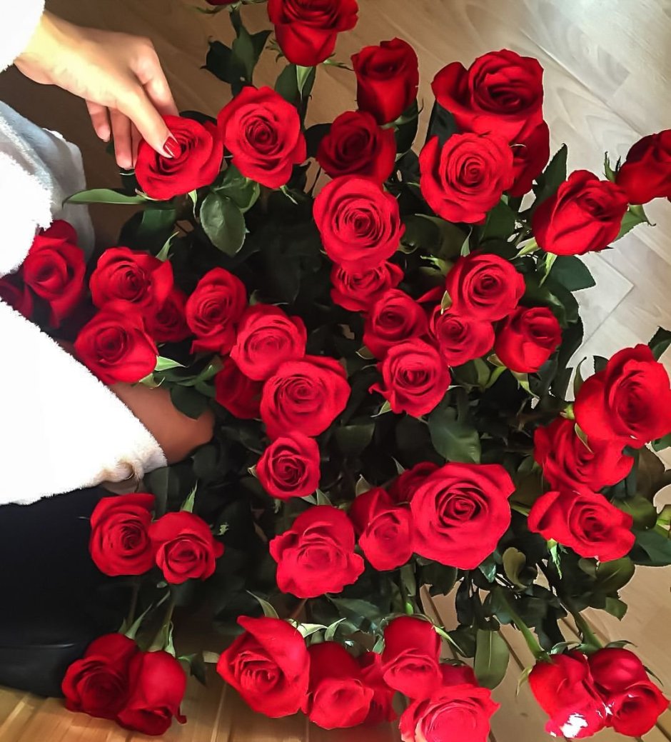 Красные розы Инстаграм