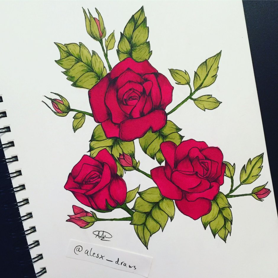 Roses drawing with Markers