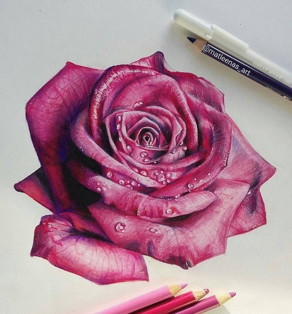 Рисование розы цветными карандашами