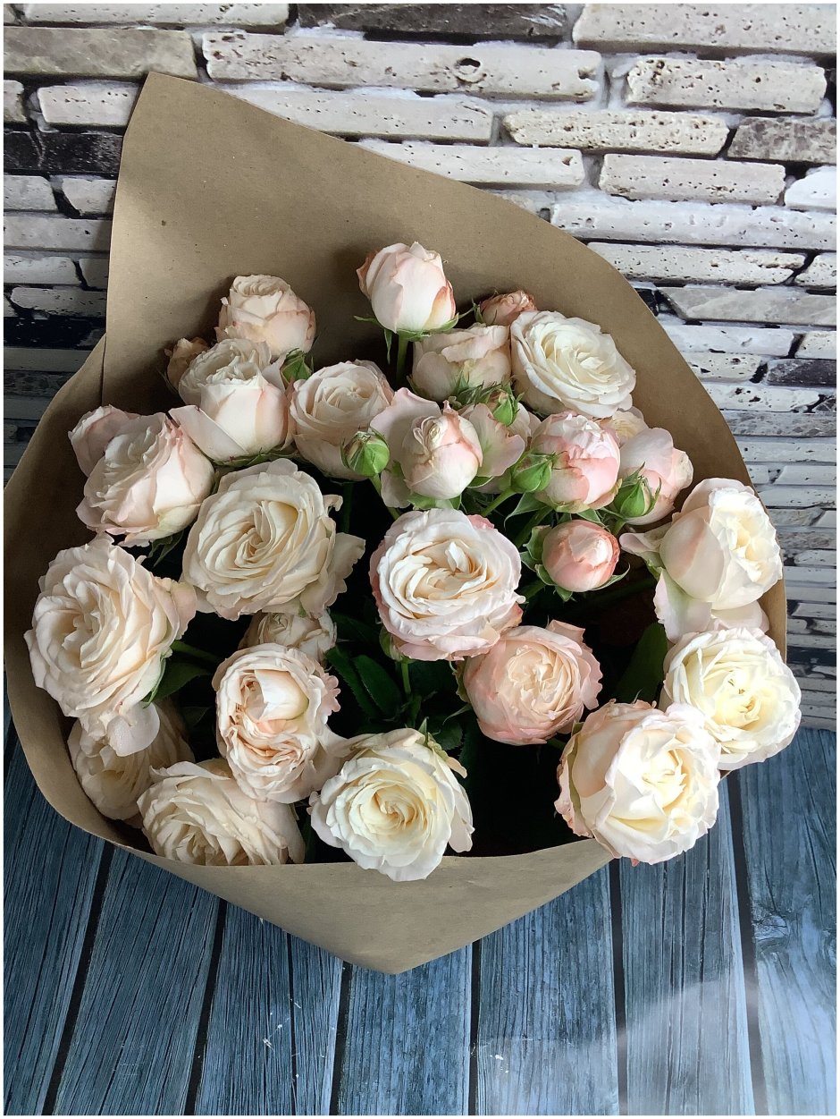 Розы пионовидные фото цена