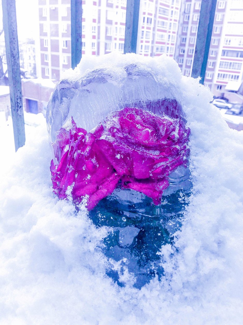 Букет замороженных роз