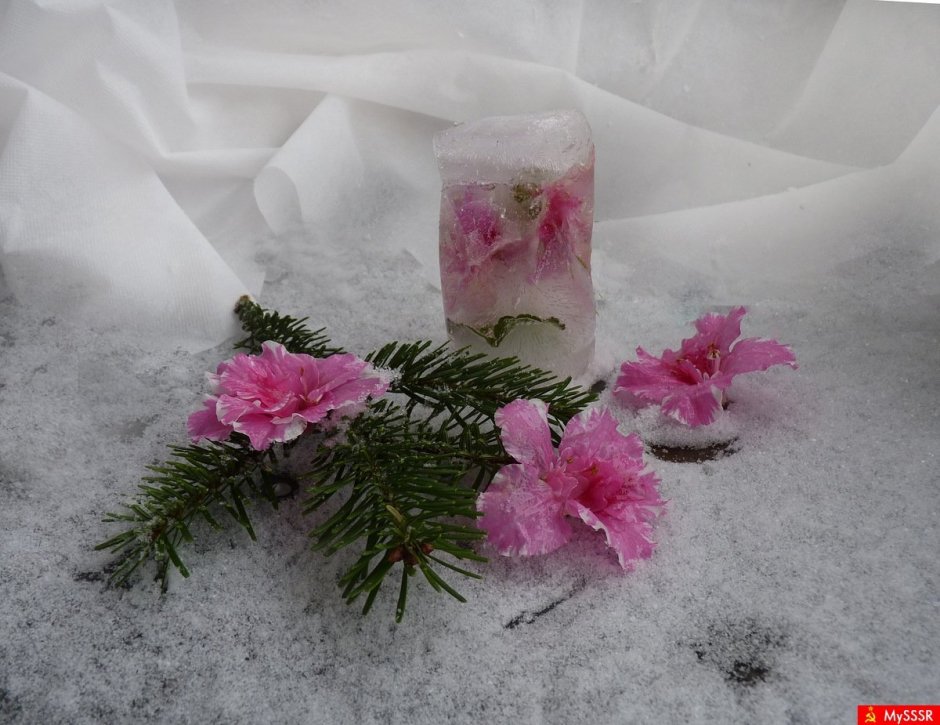 Цветы во льду букет