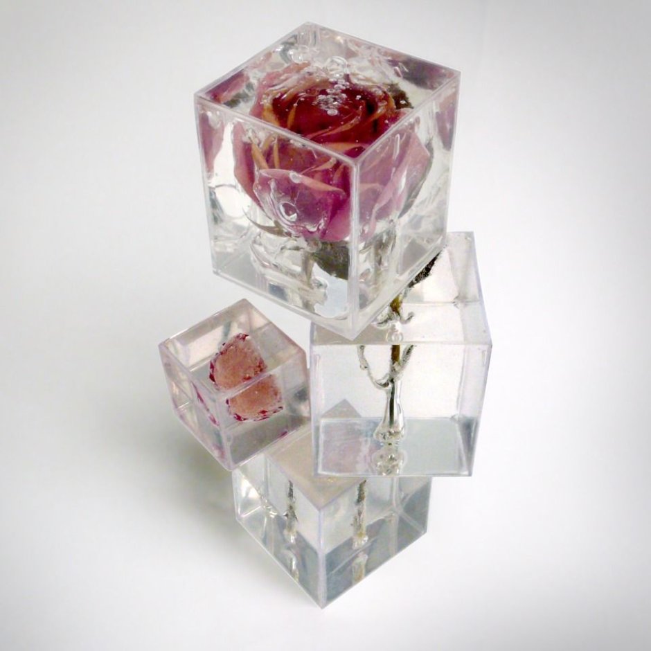 Ледяные кубики с цветами