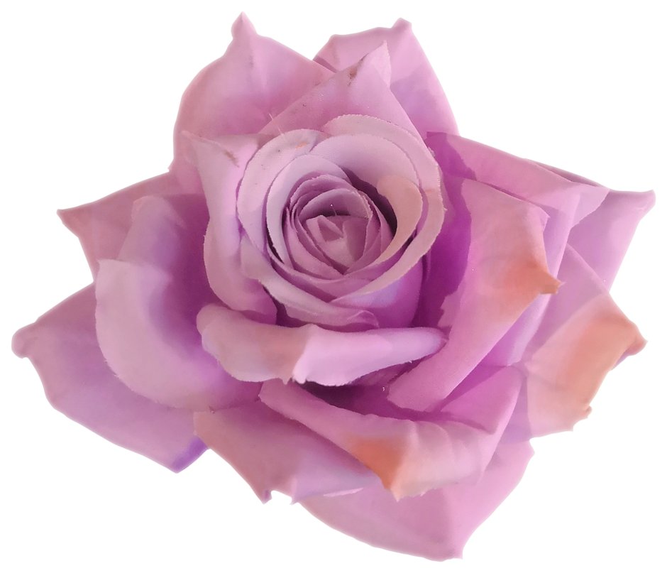 Розы в фиолетовой бумаге