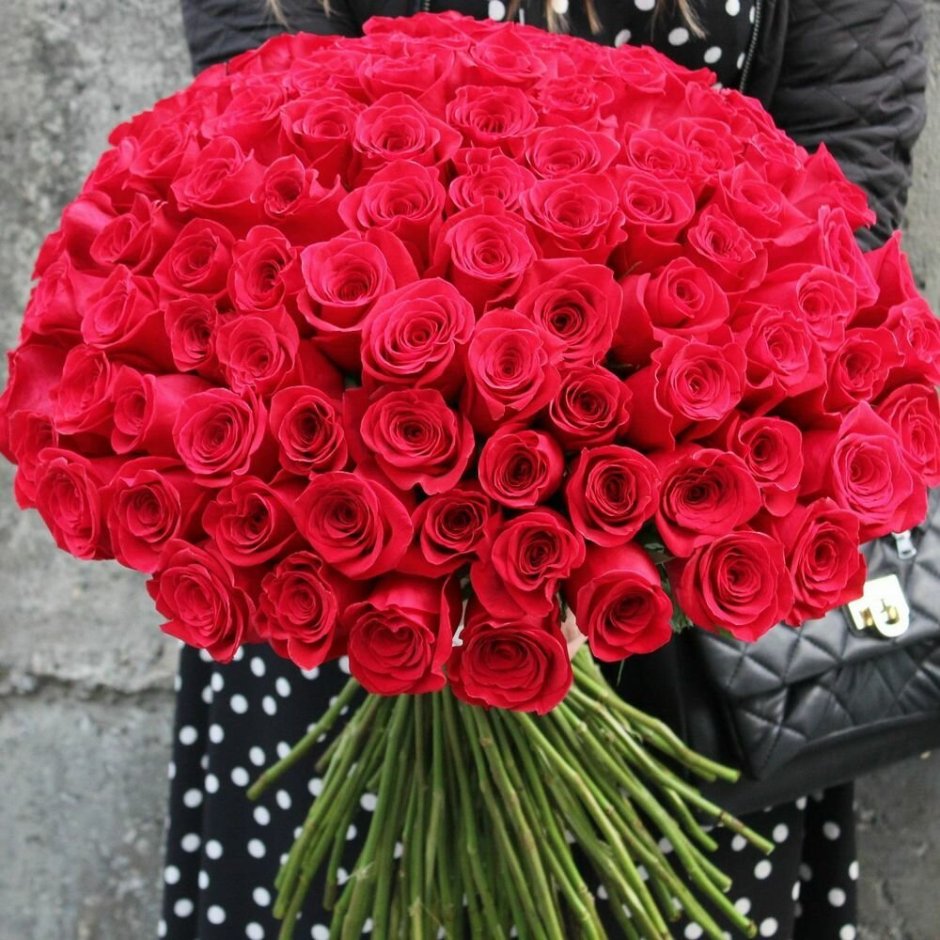 Гигантский букет красных роз