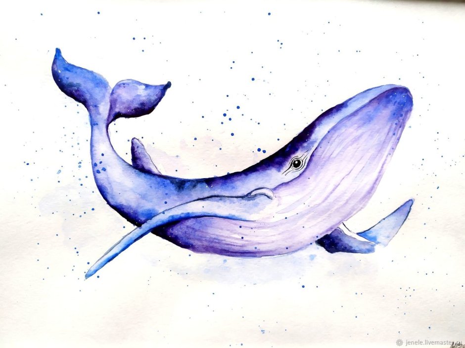 Синий кит рисунок карандашом для детей