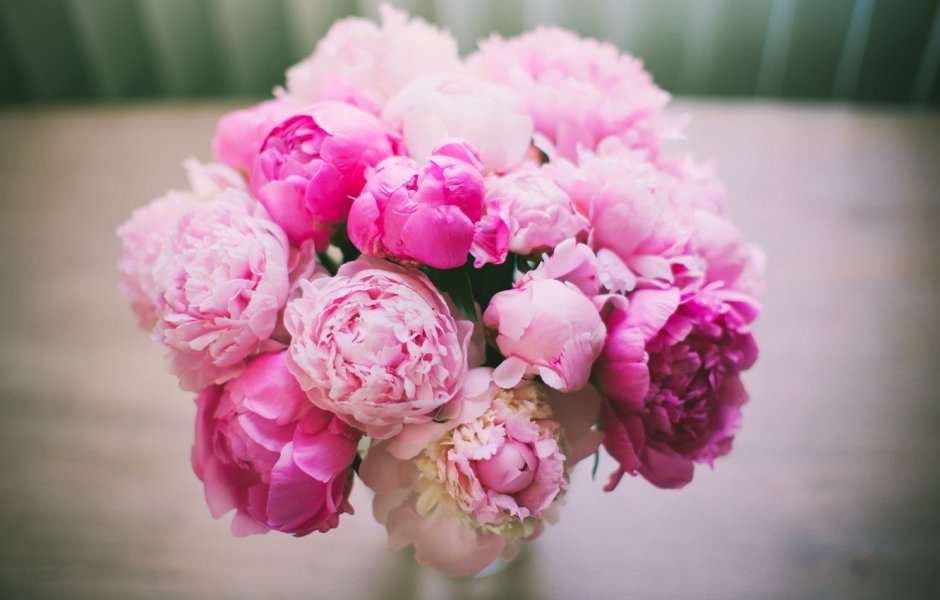 Пиони Пинк (Peony Pink)