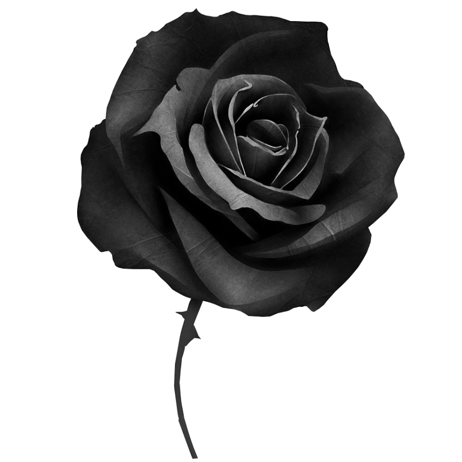 Черные цветы