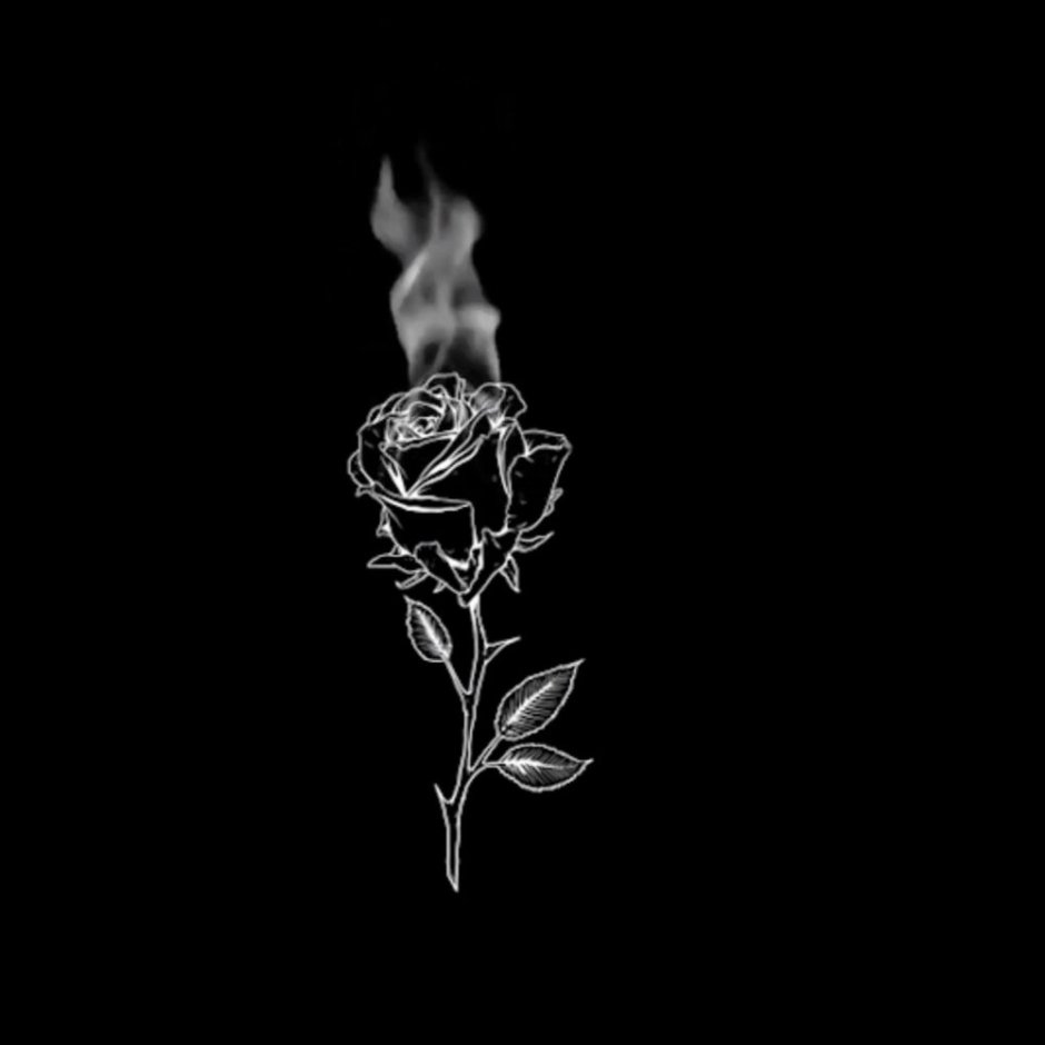 Рисованные розы на черном фоне