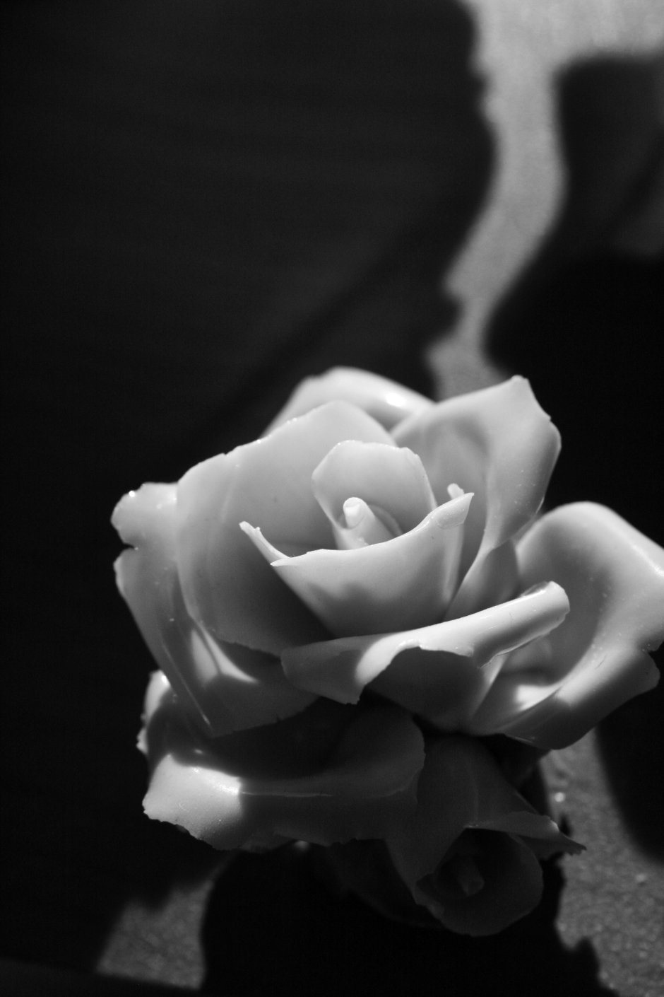 Черные и белые розы