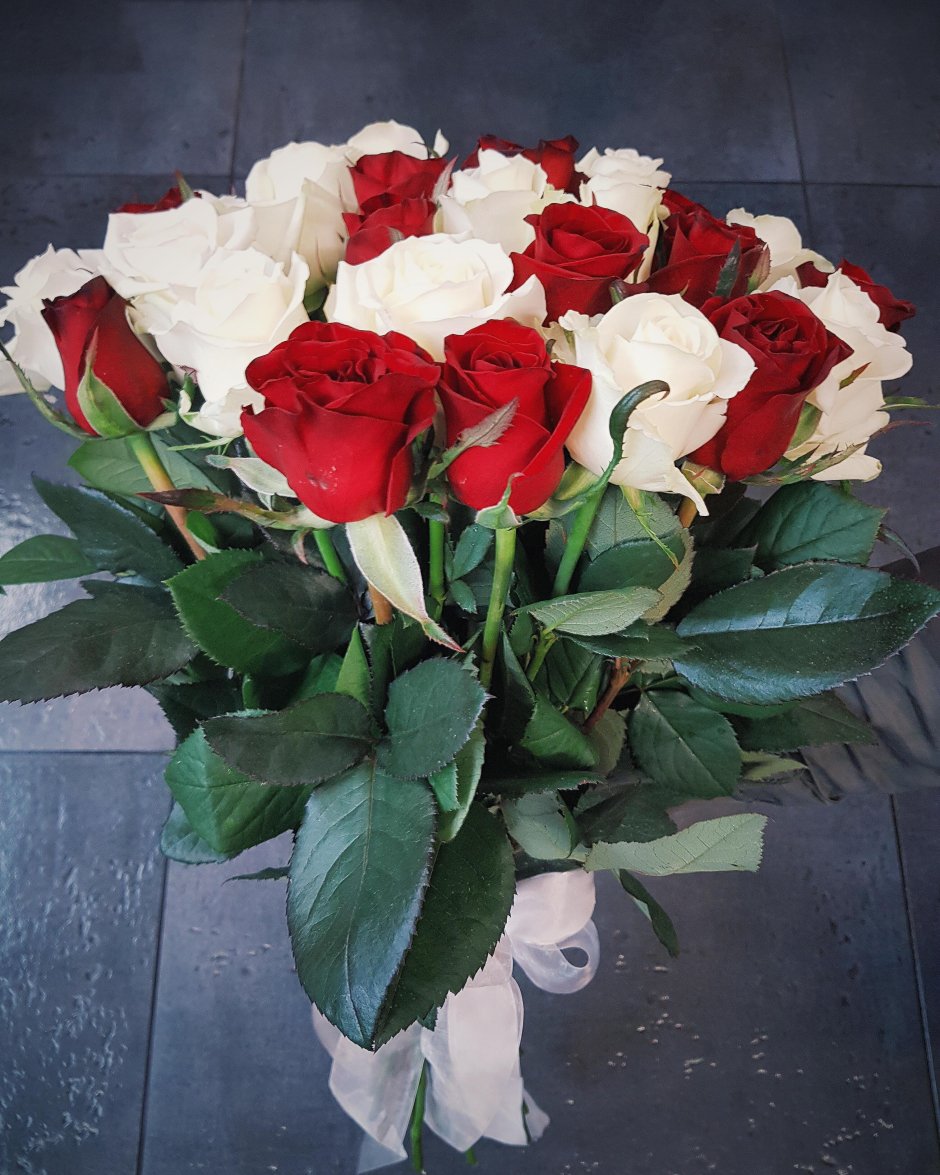 Красивый букет белых и красных роз