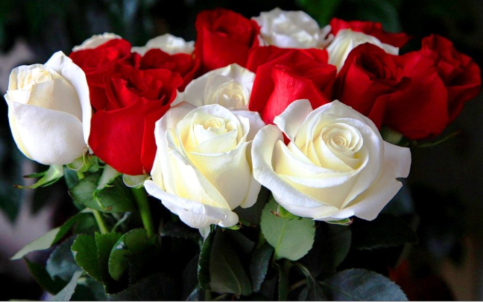 Открыточки с красными и белыми розами
