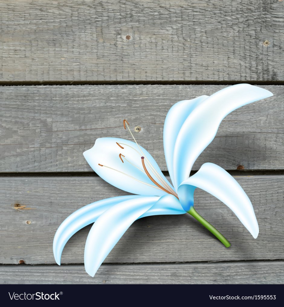 Голубая Лилия из изолона