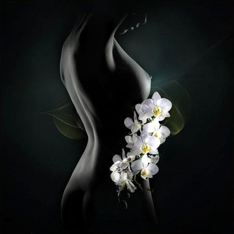 Девушка с белыми орхидеями