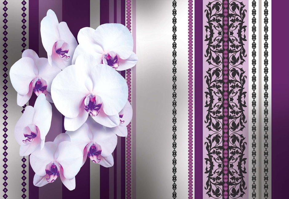 Бумажные обои с орхидеями