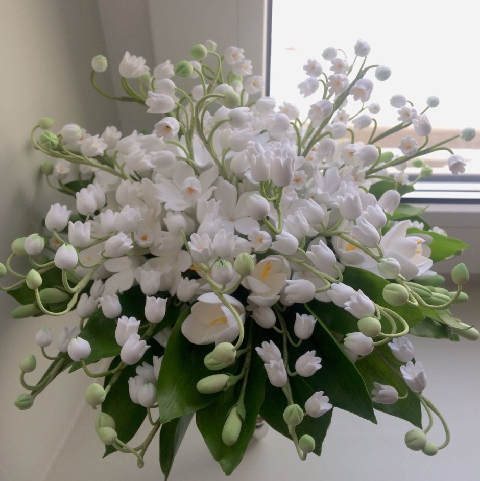 Цветок невесты Стефанотис
