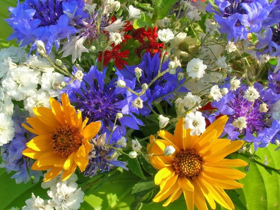 Красивый летний букет цветов