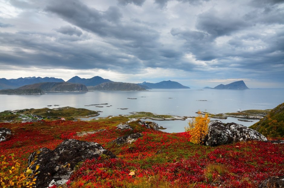 Норвегия и Кольский полуостров