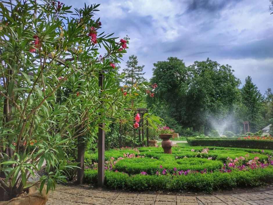 Донецкий Ботанический сад итальянски й сад