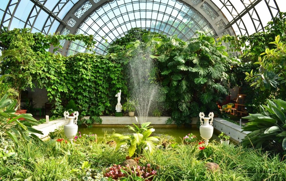 Петербург оранжерея Таврического сада