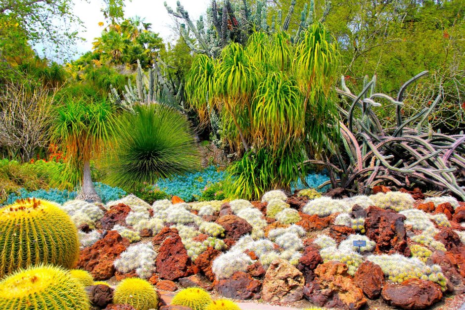 Калифорния Ботанический сад Сан-Марино
