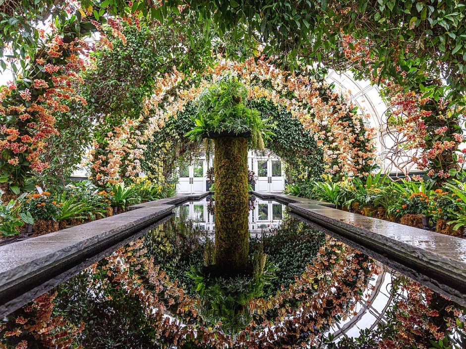 Брукленскийбрукленский Ботанический сад оранжерея