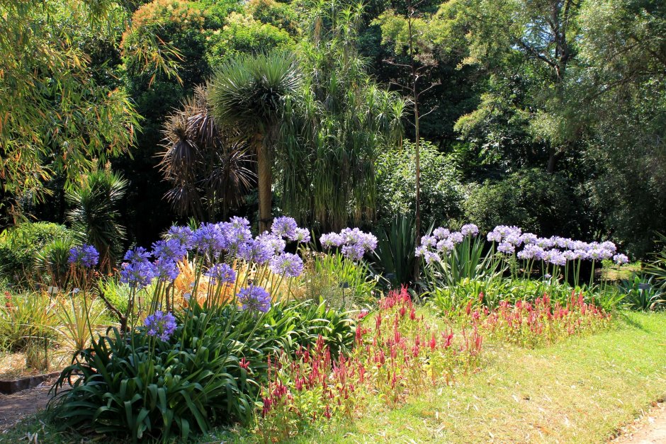 Сантьяго Чили Ботанический сад