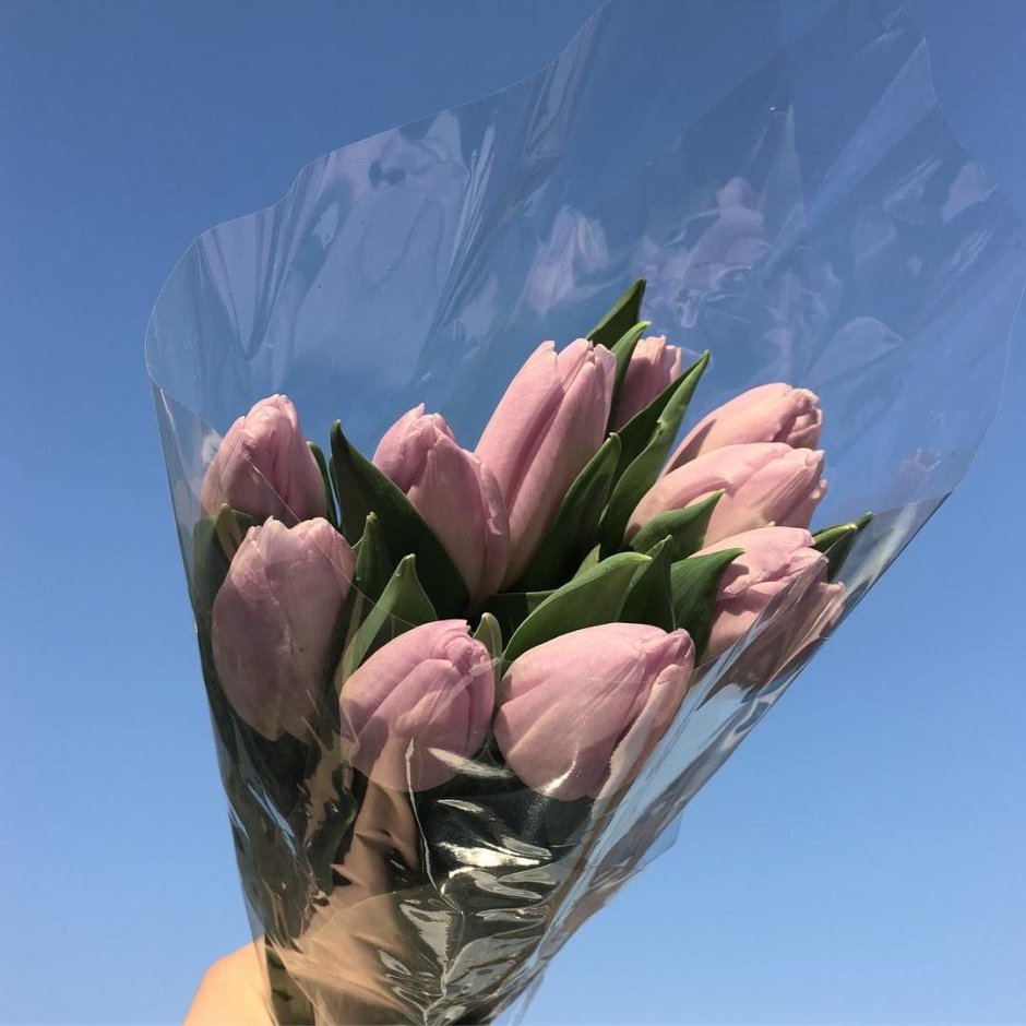 Тюльпан многоцветковый Эстетик